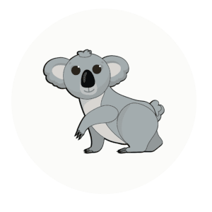 koala class icon