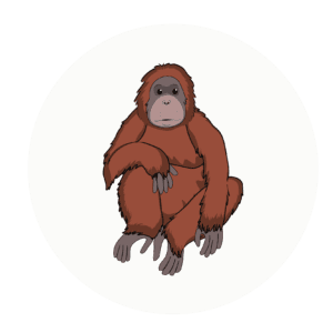 orangutan class icon