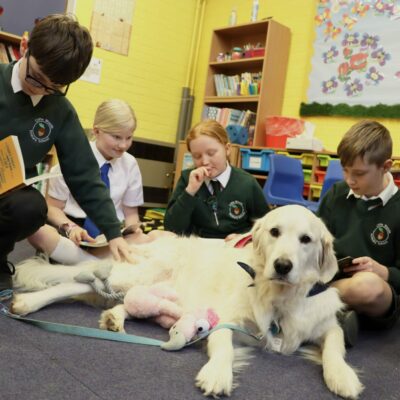 pupils reading to barney the dog for k9 concern for wellbeing