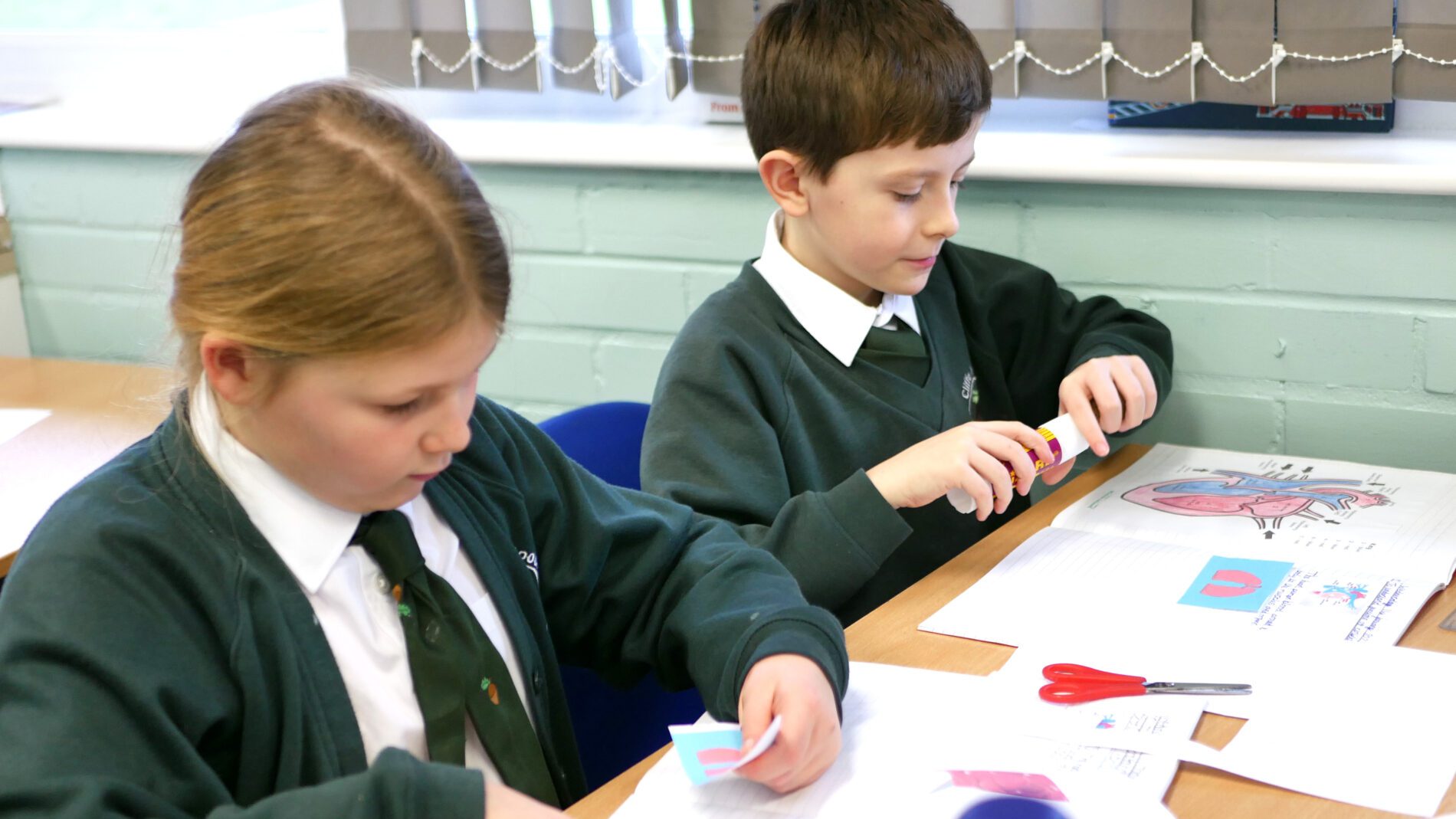 pupils learning about the heart in science class at cliffe woods primary school