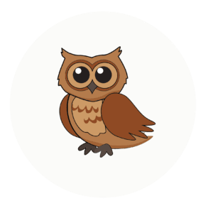 owl class icon