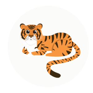 tiger class icon